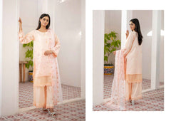 Agha Noor Chikan Kari | 3 Piece Embroidered Festive Suits