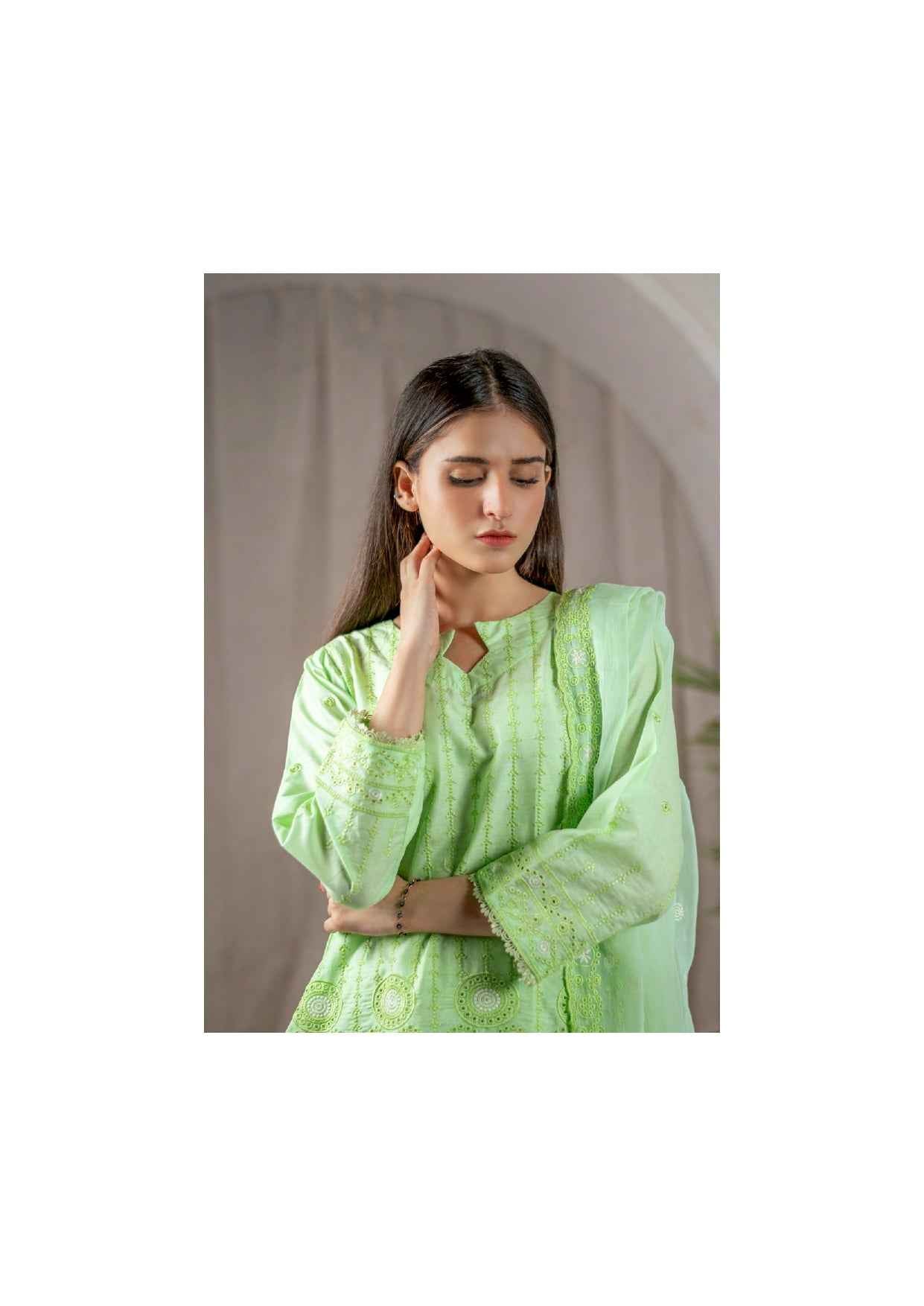 Agha Noor Chikan Kari | 3 Piece Embroidered Festive Suits